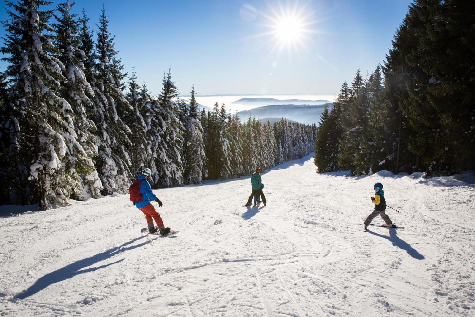 Haus Wiesenquelle - Fewo 14 "Timeout", Feldberg Rinken Exteriör bild
